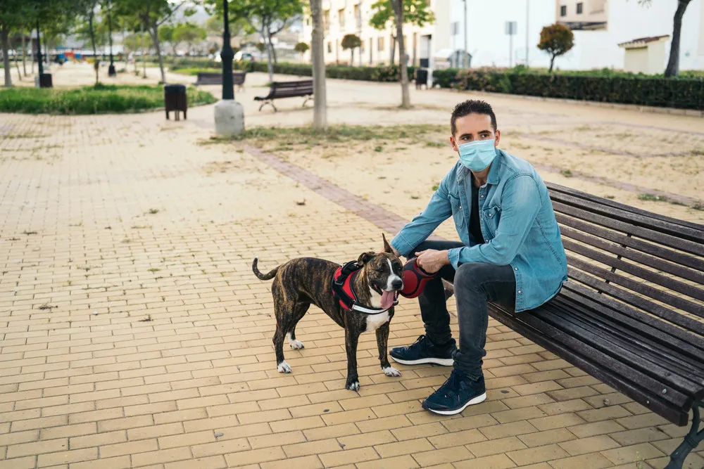 3 Ply Surgical Mask You can Use to Play with Pets - 200s