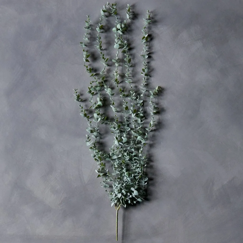 Eucalyptus Trailing Stem 100cm